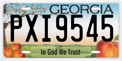 GA license plate PXI9545