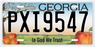 GA license plate PXI9547