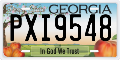 GA license plate PXI9548
