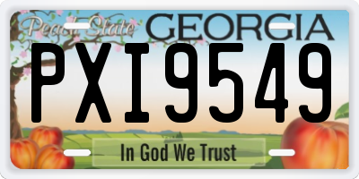 GA license plate PXI9549