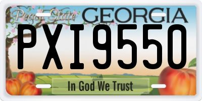 GA license plate PXI9550