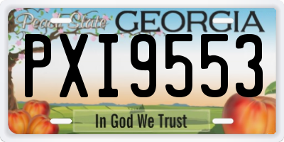 GA license plate PXI9553