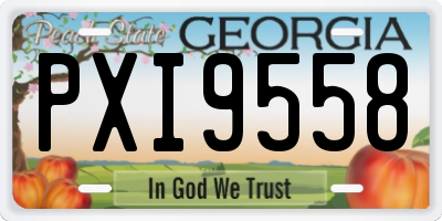 GA license plate PXI9558