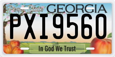 GA license plate PXI9560