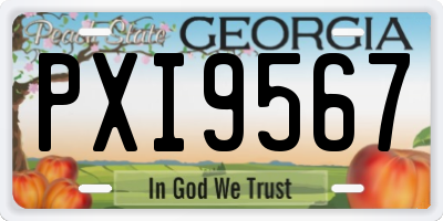 GA license plate PXI9567