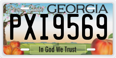 GA license plate PXI9569