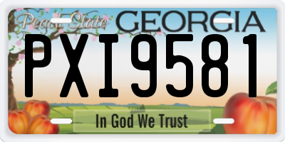 GA license plate PXI9581