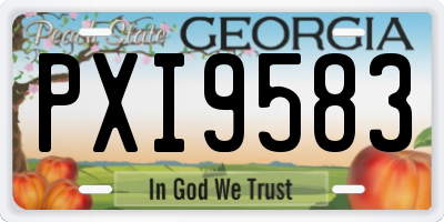 GA license plate PXI9583