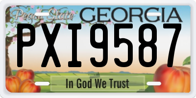 GA license plate PXI9587