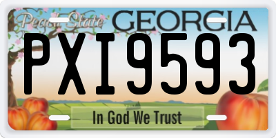 GA license plate PXI9593