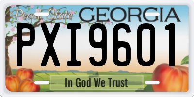 GA license plate PXI9601