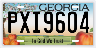 GA license plate PXI9604