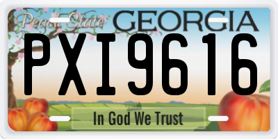 GA license plate PXI9616