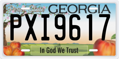 GA license plate PXI9617