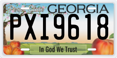 GA license plate PXI9618