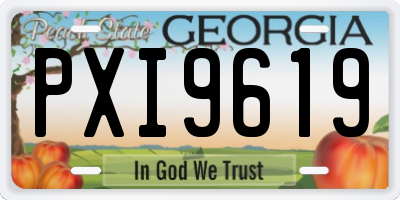 GA license plate PXI9619
