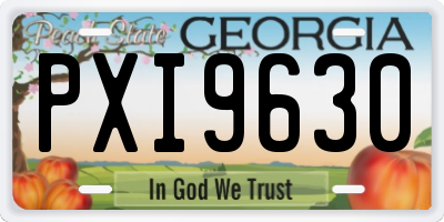 GA license plate PXI9630
