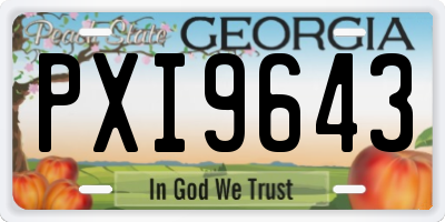 GA license plate PXI9643