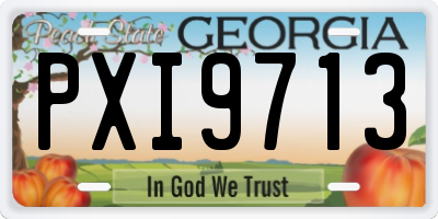 GA license plate PXI9713
