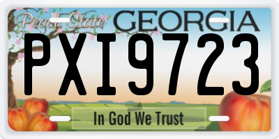 GA license plate PXI9723