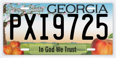 GA license plate PXI9725