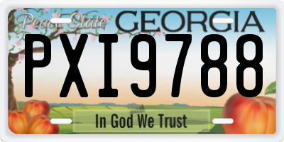 GA license plate PXI9788