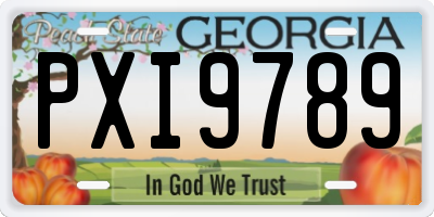 GA license plate PXI9789