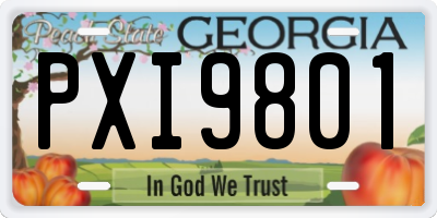 GA license plate PXI9801