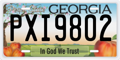 GA license plate PXI9802