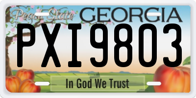 GA license plate PXI9803