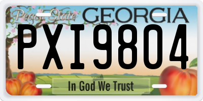 GA license plate PXI9804