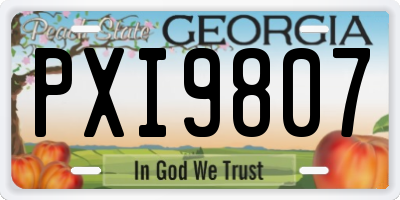 GA license plate PXI9807