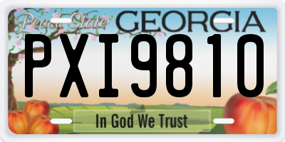 GA license plate PXI9810