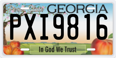GA license plate PXI9816
