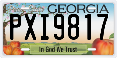 GA license plate PXI9817
