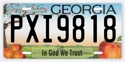 GA license plate PXI9818