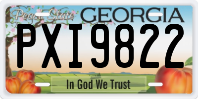 GA license plate PXI9822