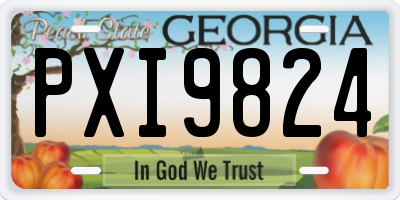 GA license plate PXI9824