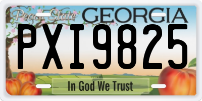GA license plate PXI9825