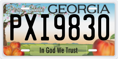 GA license plate PXI9830