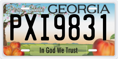 GA license plate PXI9831
