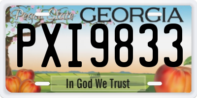 GA license plate PXI9833