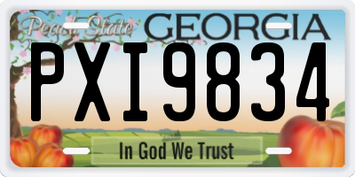 GA license plate PXI9834