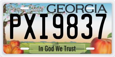 GA license plate PXI9837
