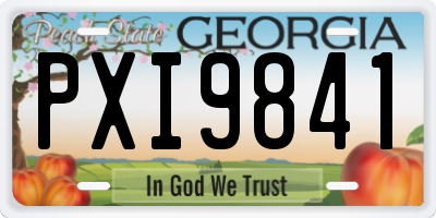 GA license plate PXI9841