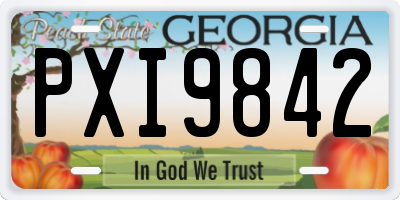 GA license plate PXI9842
