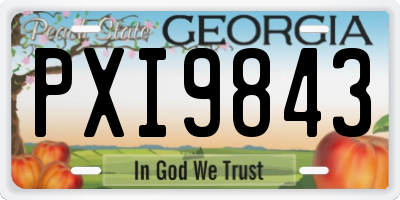 GA license plate PXI9843