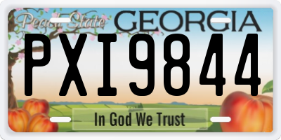 GA license plate PXI9844