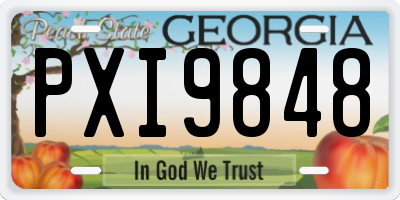 GA license plate PXI9848