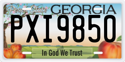 GA license plate PXI9850